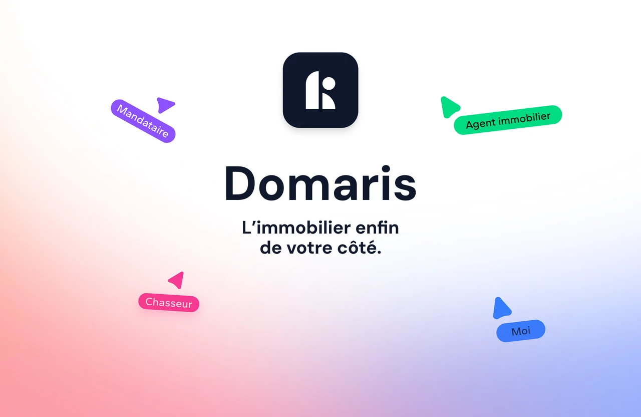 Aperçu de l'application Domaris