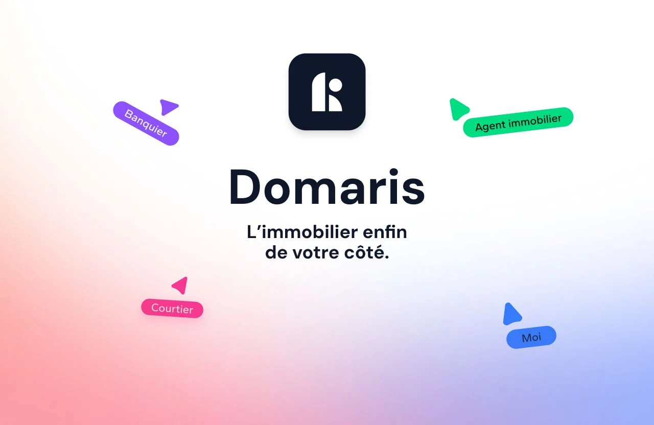 Aperçu de l'application Domaris